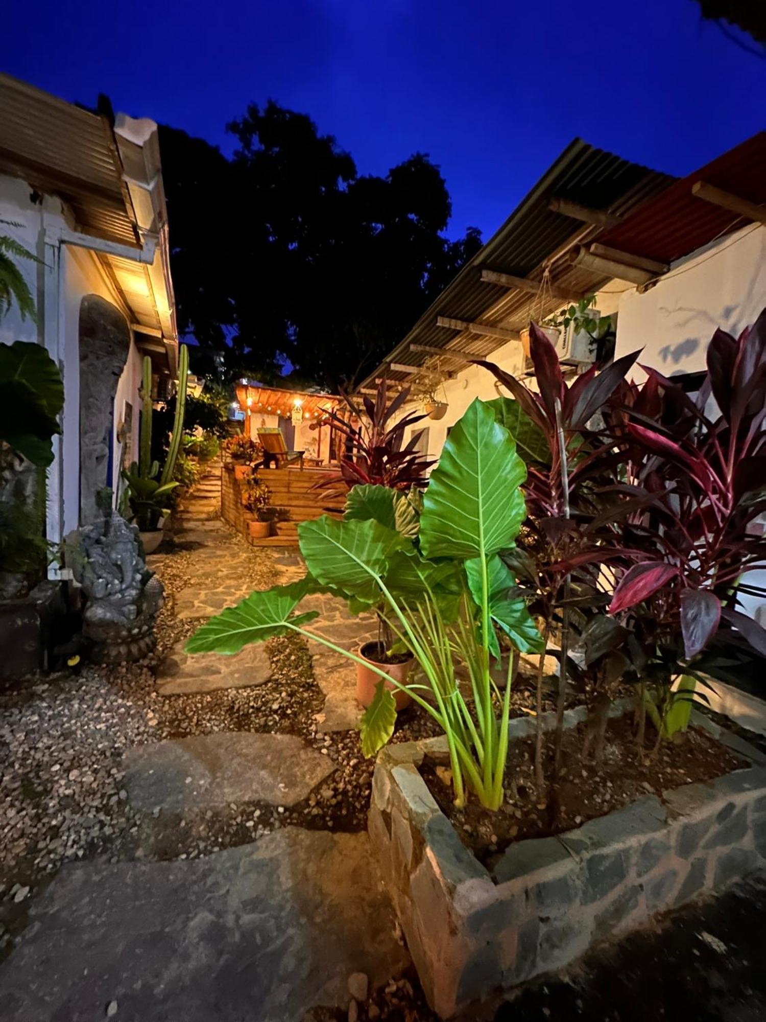 Hotel Renasci Palomino Bagian luar foto