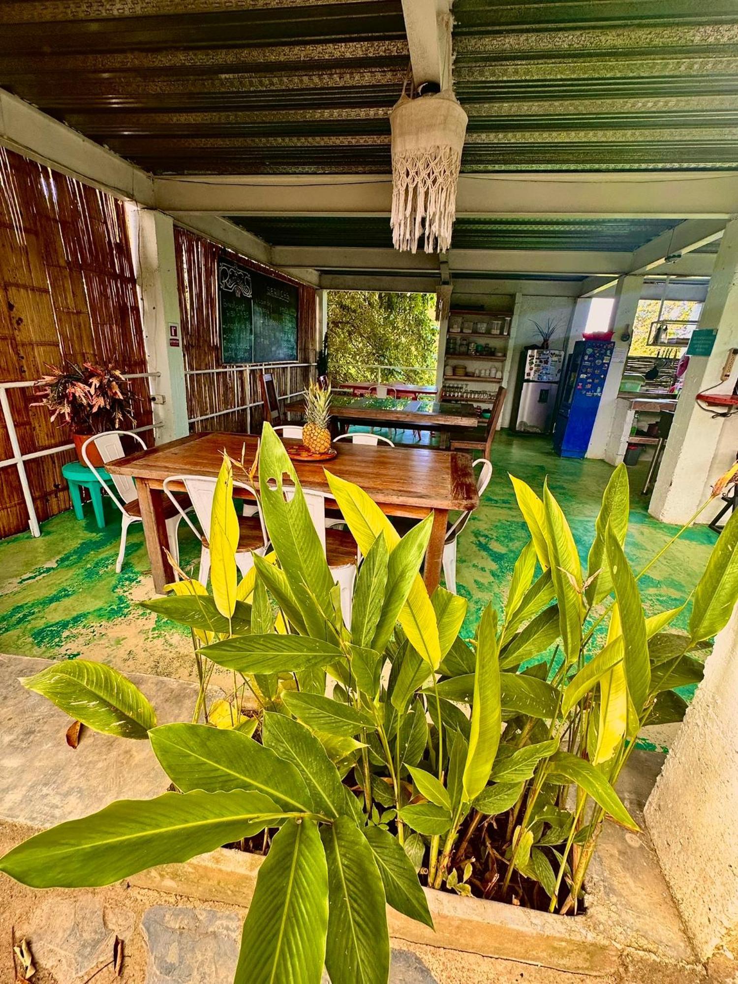 Hotel Renasci Palomino Bagian luar foto